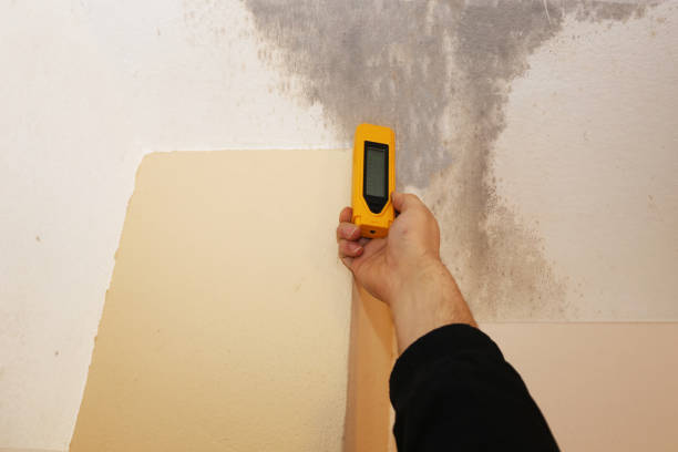 Best HVAC Mold Inspection and Cleaning  in Durango, CO